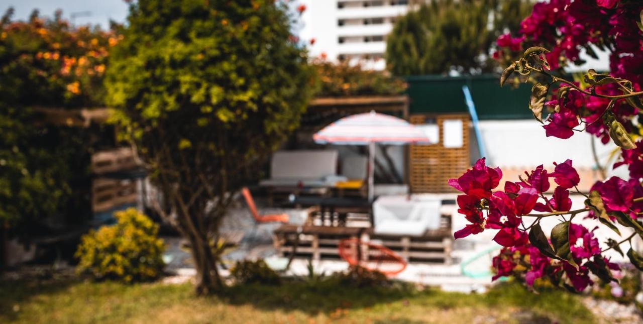 Sandycamps Surf House Đảo Đảo Baleal Ngoại thất bức ảnh